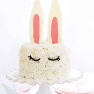 Super easy and FUN Step-by-step tutorial and VIDEO for this cake!