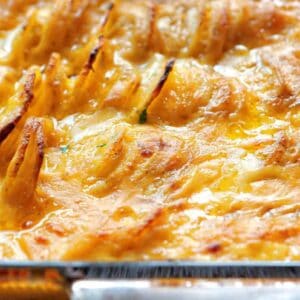 cheesy-scalloped